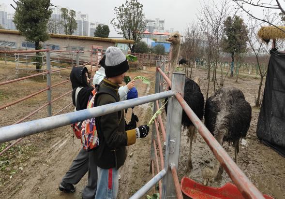 微信图片_20260131200036_177_34