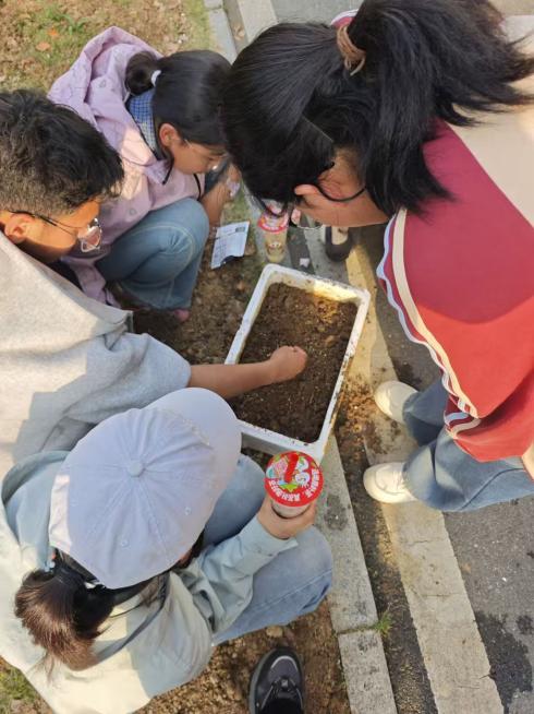 660fa32ce111cac9fa7bda36fc8cd9c7