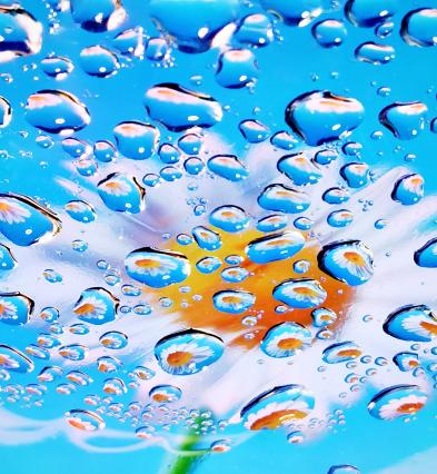 9.《水木芳华》苏欣 高三年级部