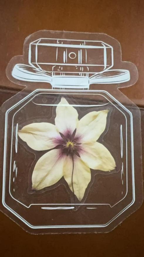 d51624aba5b78c92a0c736cfd29d668b