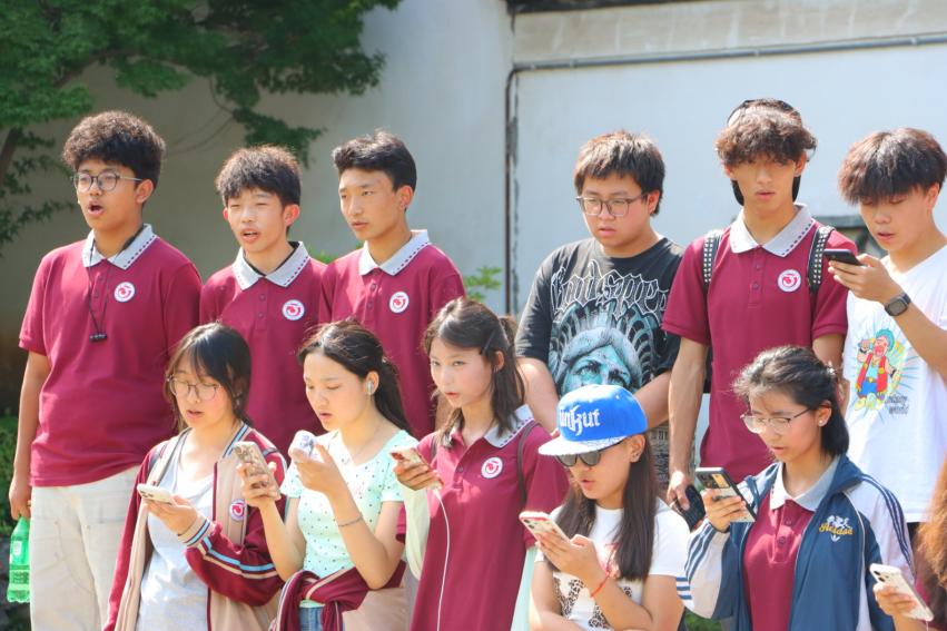 图片12