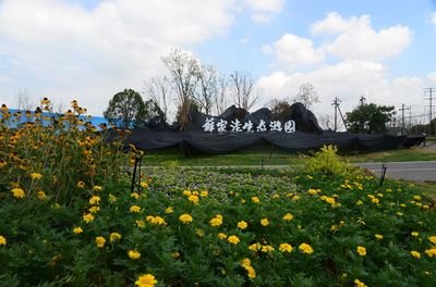 IMG_256
